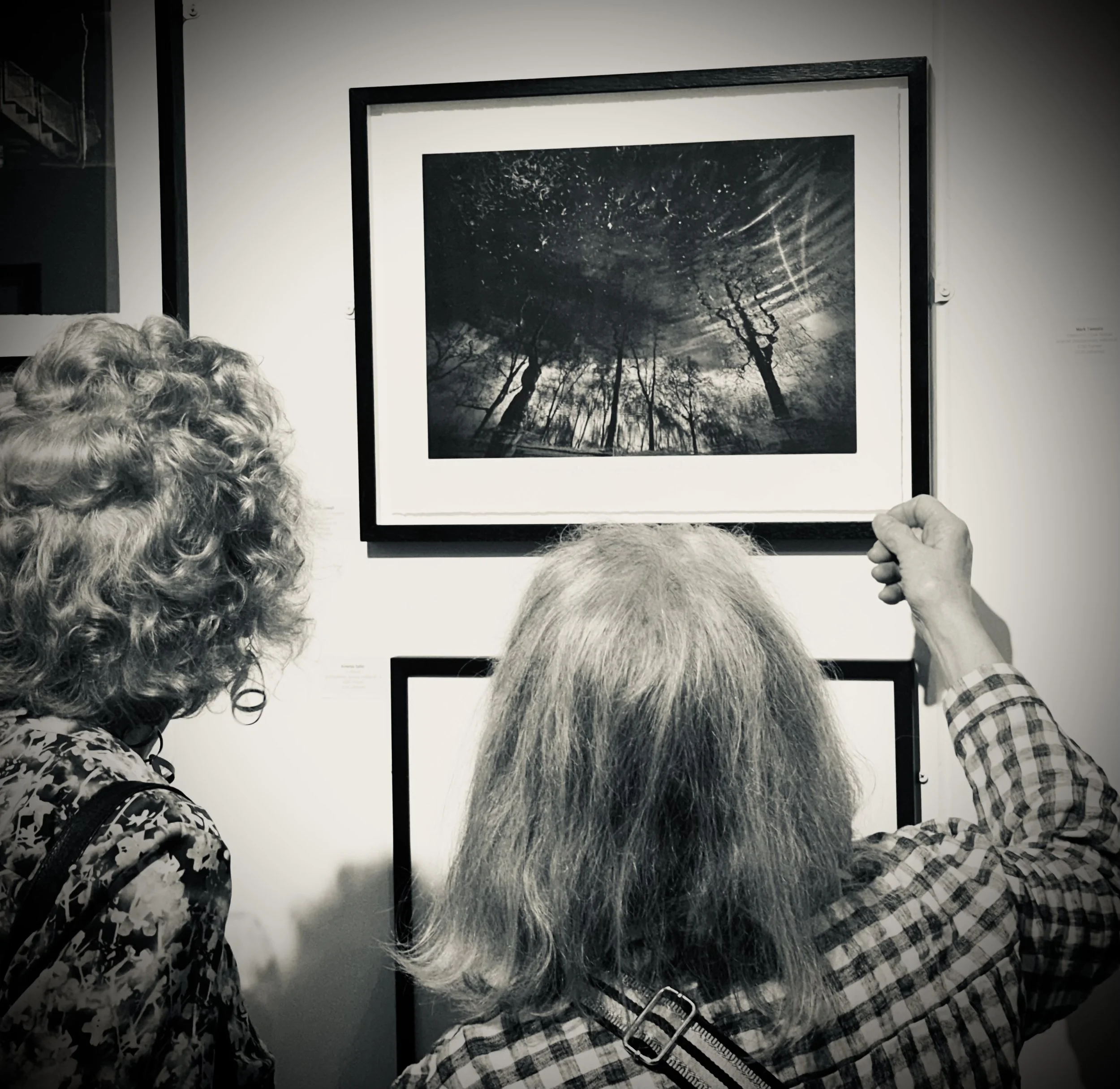 Black-and-white photograph of four people viewing a large framed space photograph of stars and trees on an exhibition wall. The photo is taken from behind and shows the top of their heads and shoulders. The setting appears to be an art gallery or museum.