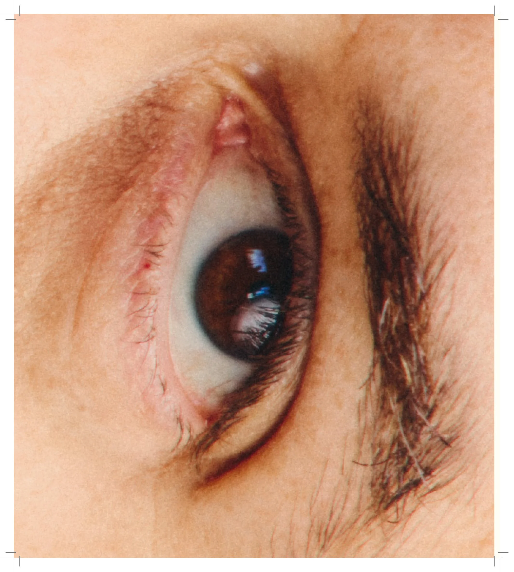 AP_ZINE_FINAL_COMBINED SINGLE PAGE PDF_Page_13.jpg