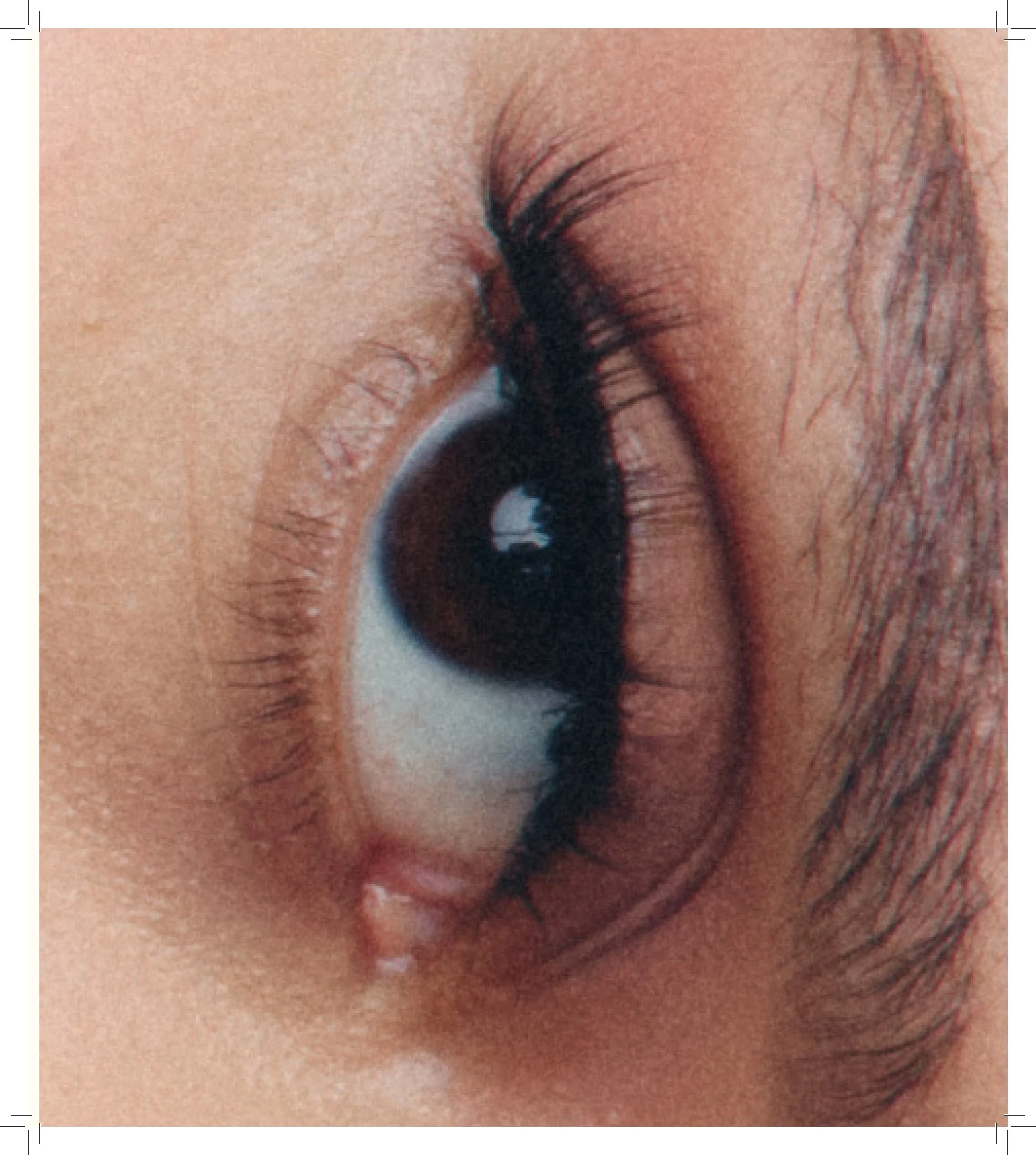 AP_ZINE_FINAL_COMBINED SINGLE PAGE PDF_Page_36.jpg