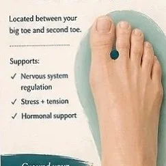 Acupuncture &amp; Neuromodulation