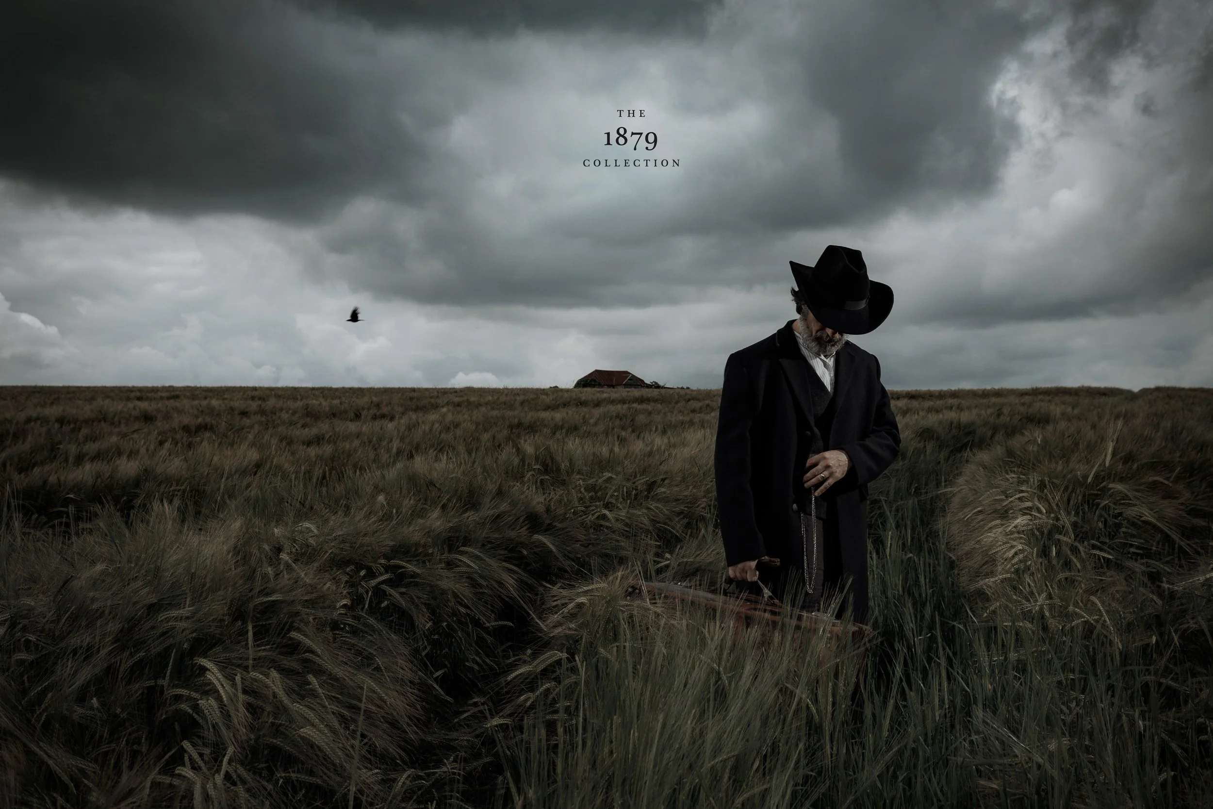 A person with a beard wearing a black cowboy hat and dark clothing standing in a field of tall grass under a cloudy, stormy sky with a few birds flying overhead and a small house in the distance.
