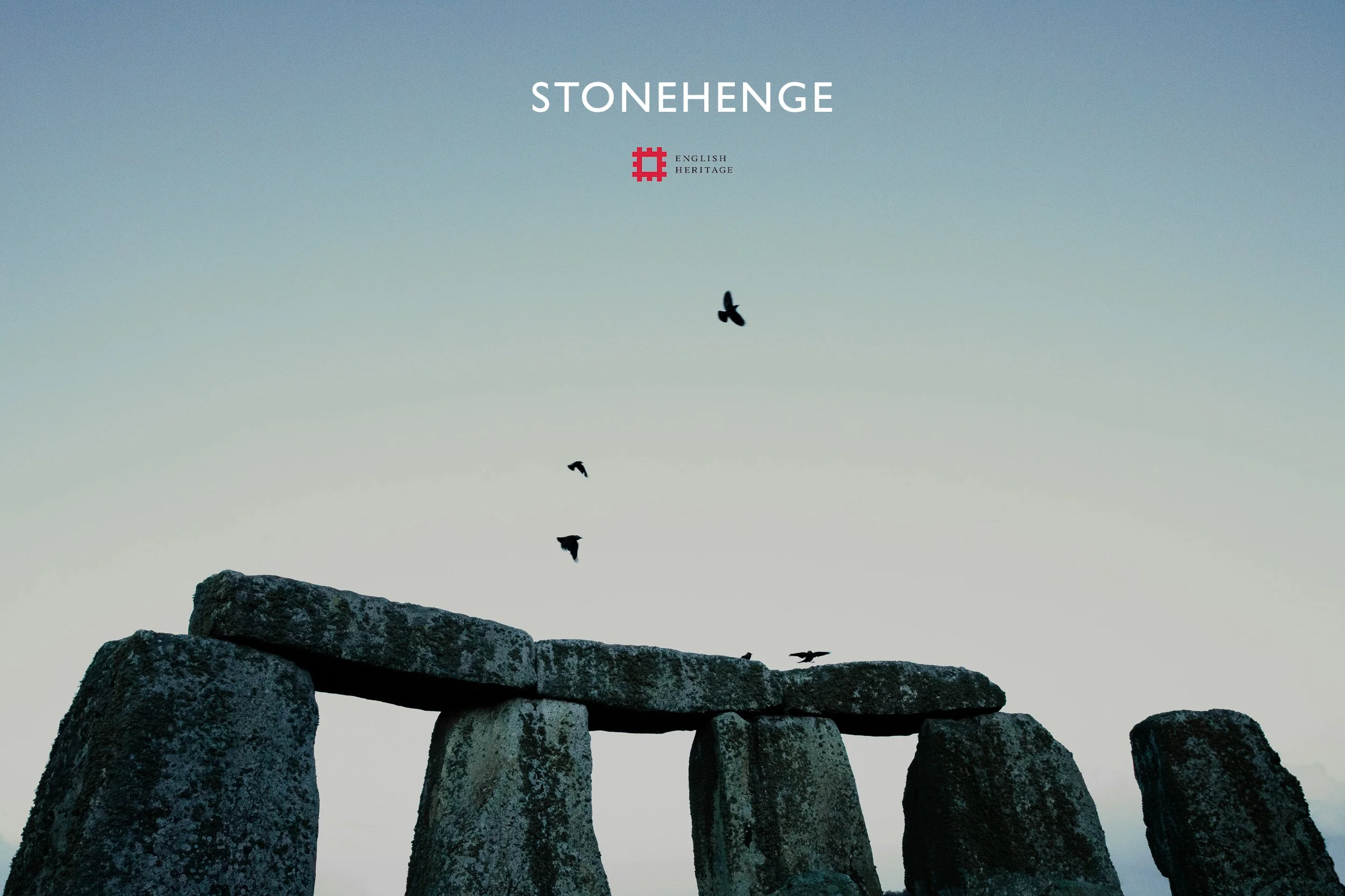 Stonehenge with a group of birds flying above it during dusk or dawn.