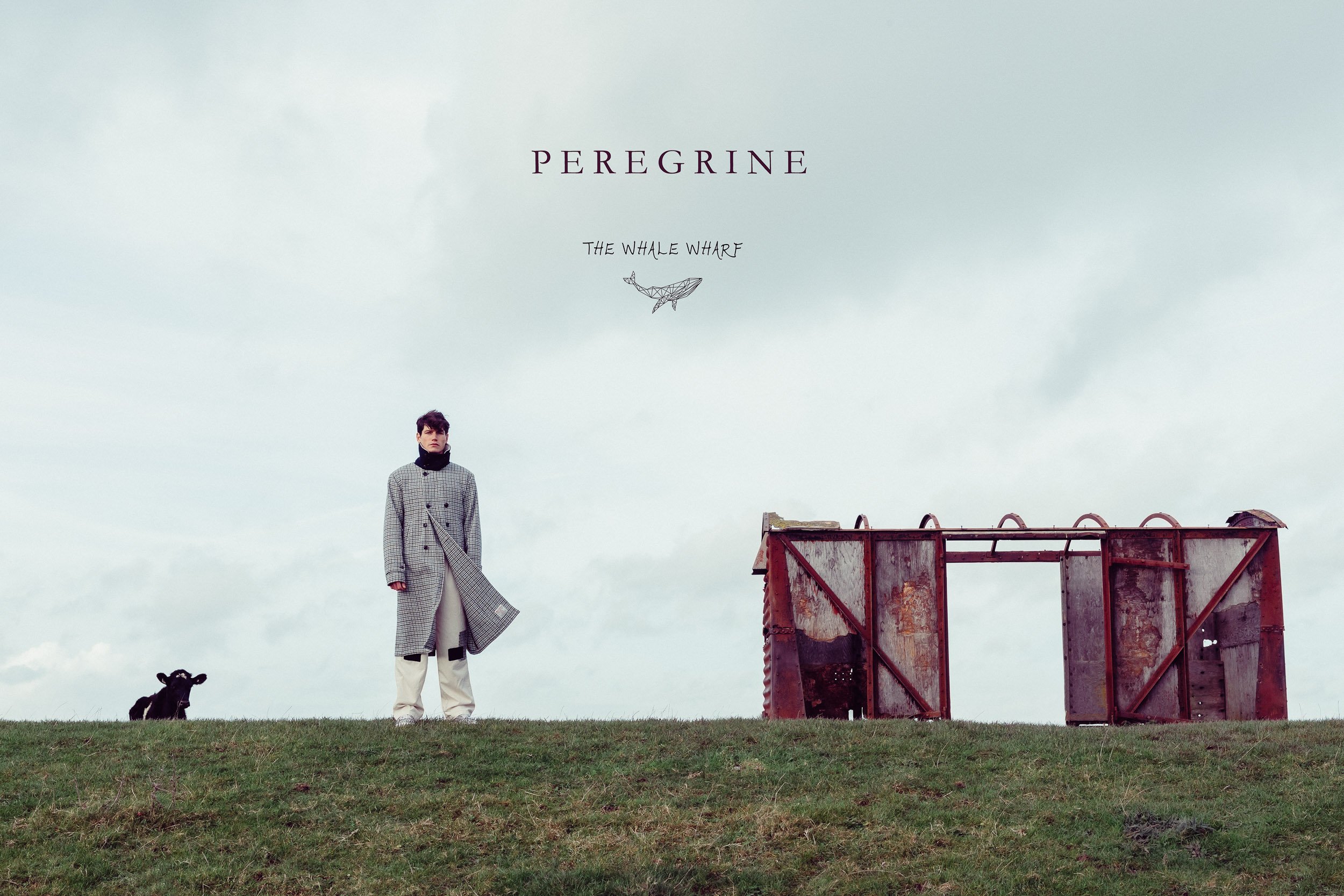 A person standing on a grassy area with a small black dog nearby. The person is wearing a checkered coat and light-colored pants. Behind them, there is a rusty, red metal structure. The sky is overcast with clouds, and the overall mood is somber.