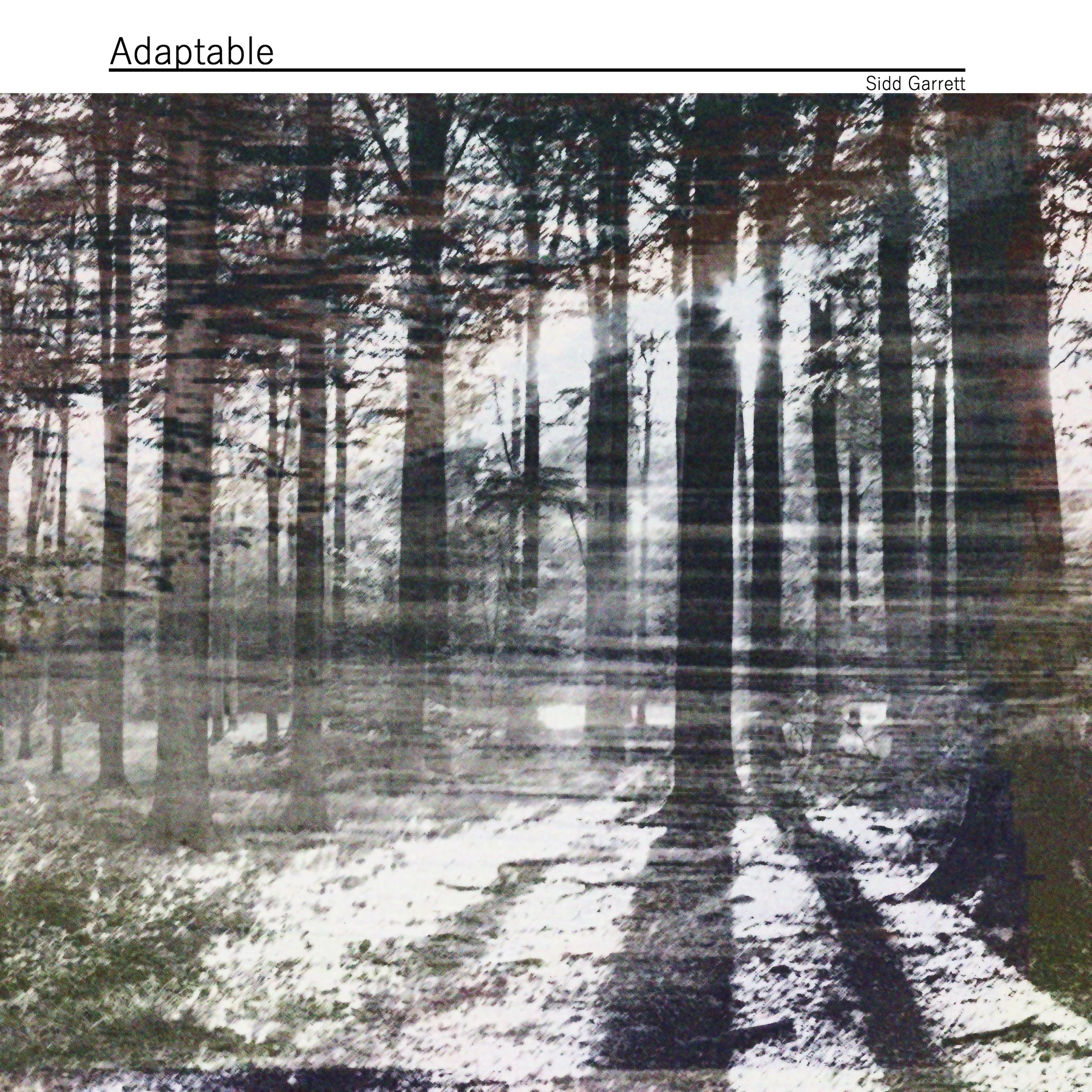 Black and white image of a forest with tall trees and a narrow pathway running through it. 'Adaptable' album artwork by Sidd Garrett.