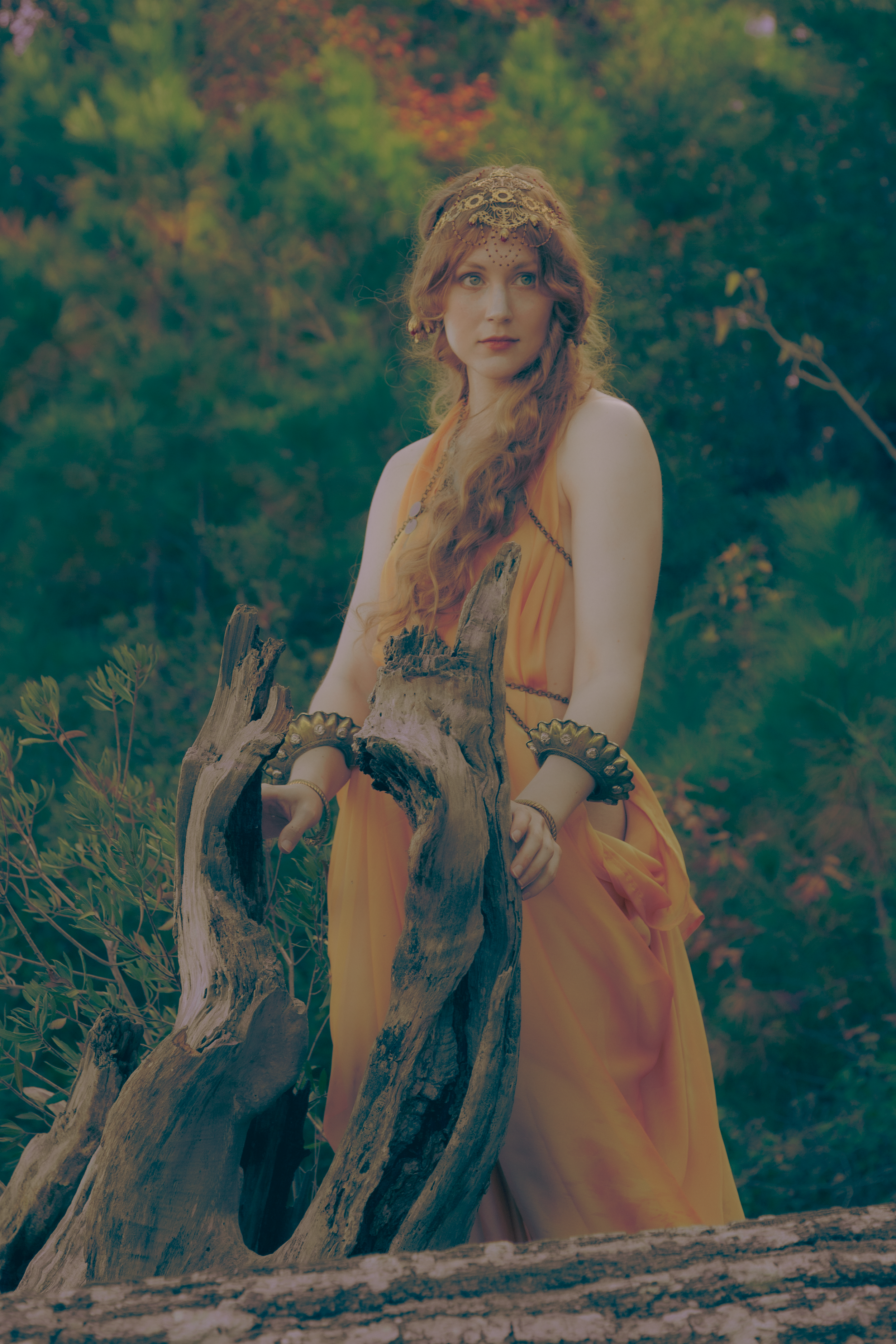 "Apricot" - Aurumica and Meta Pierce