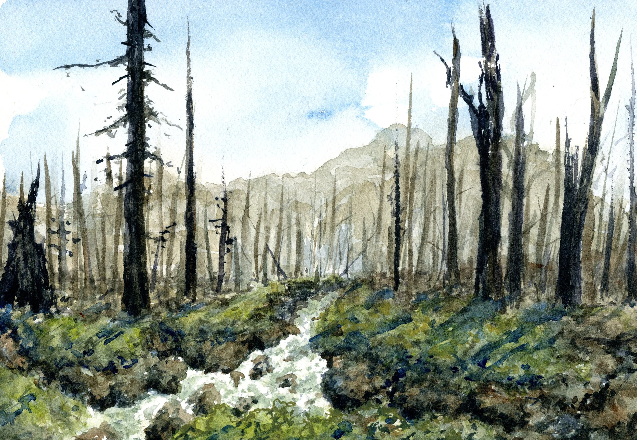 lassenwaterfall crop.jpg