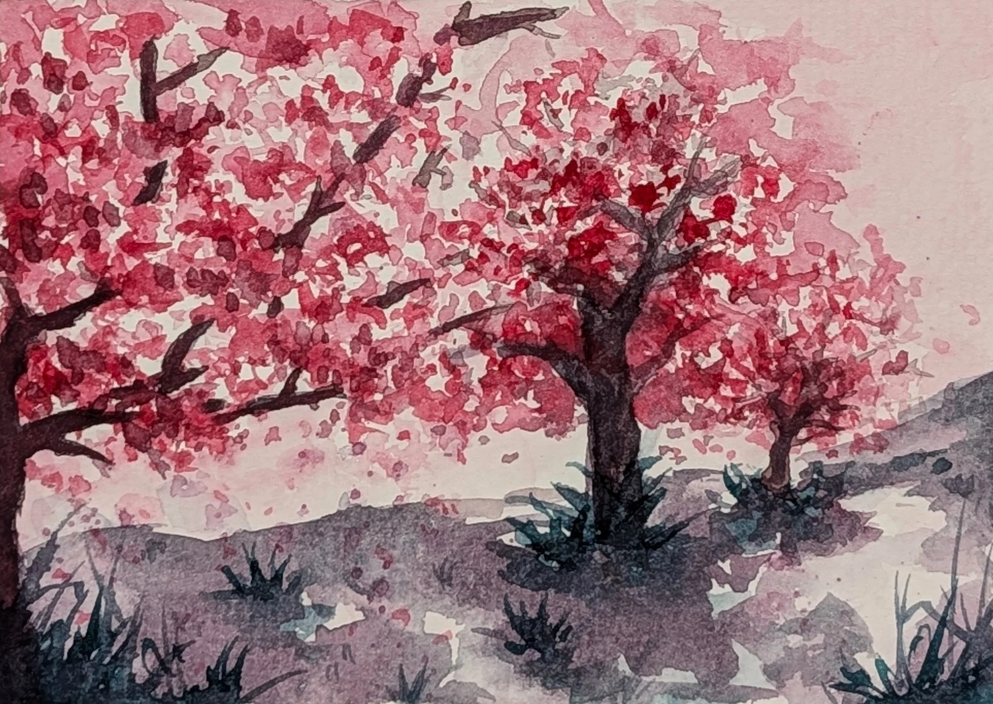 cherry-blossom-edit.jpg