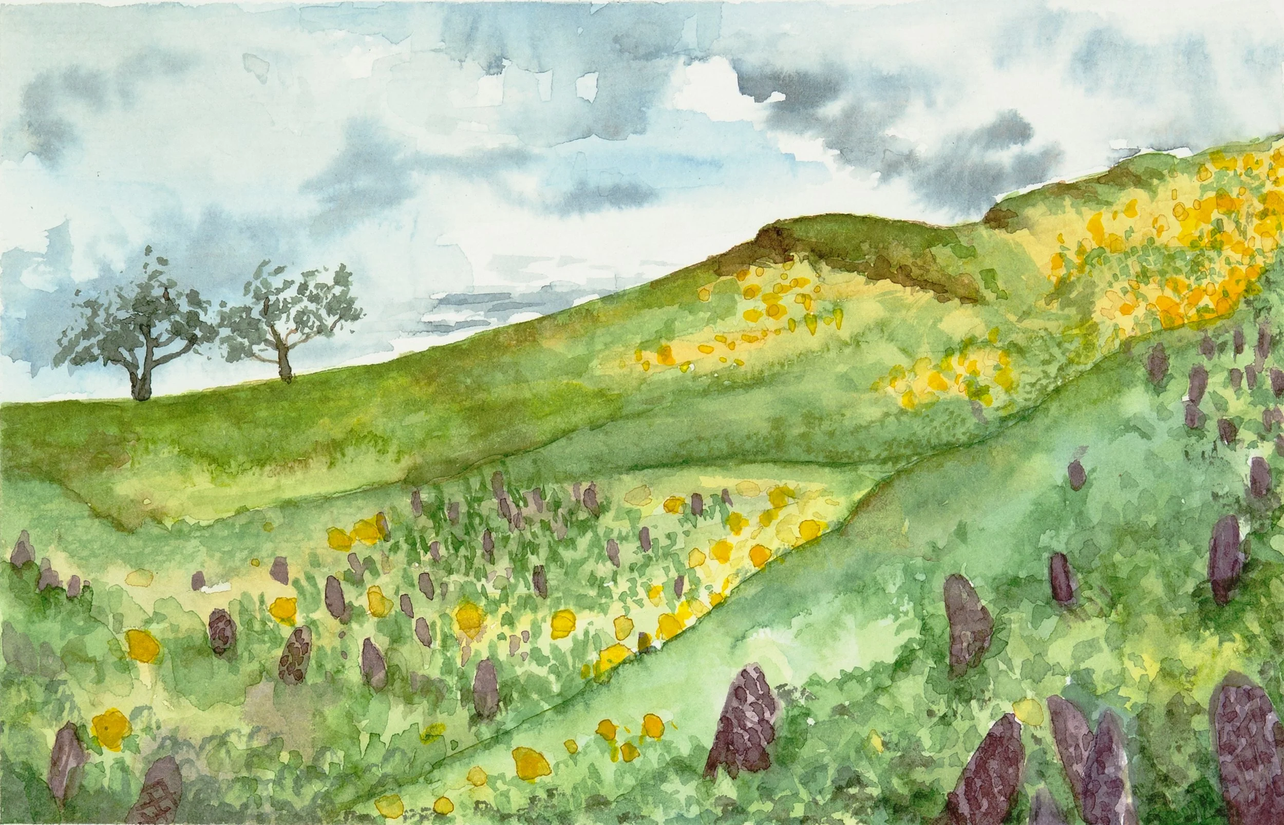 Hills crop copy.jpg