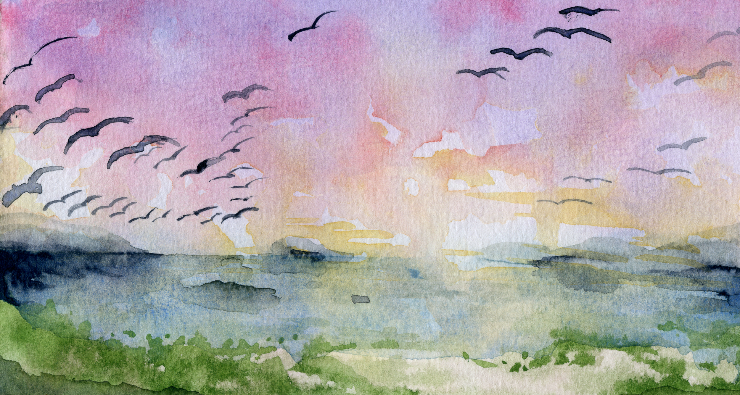 birdbeach.png