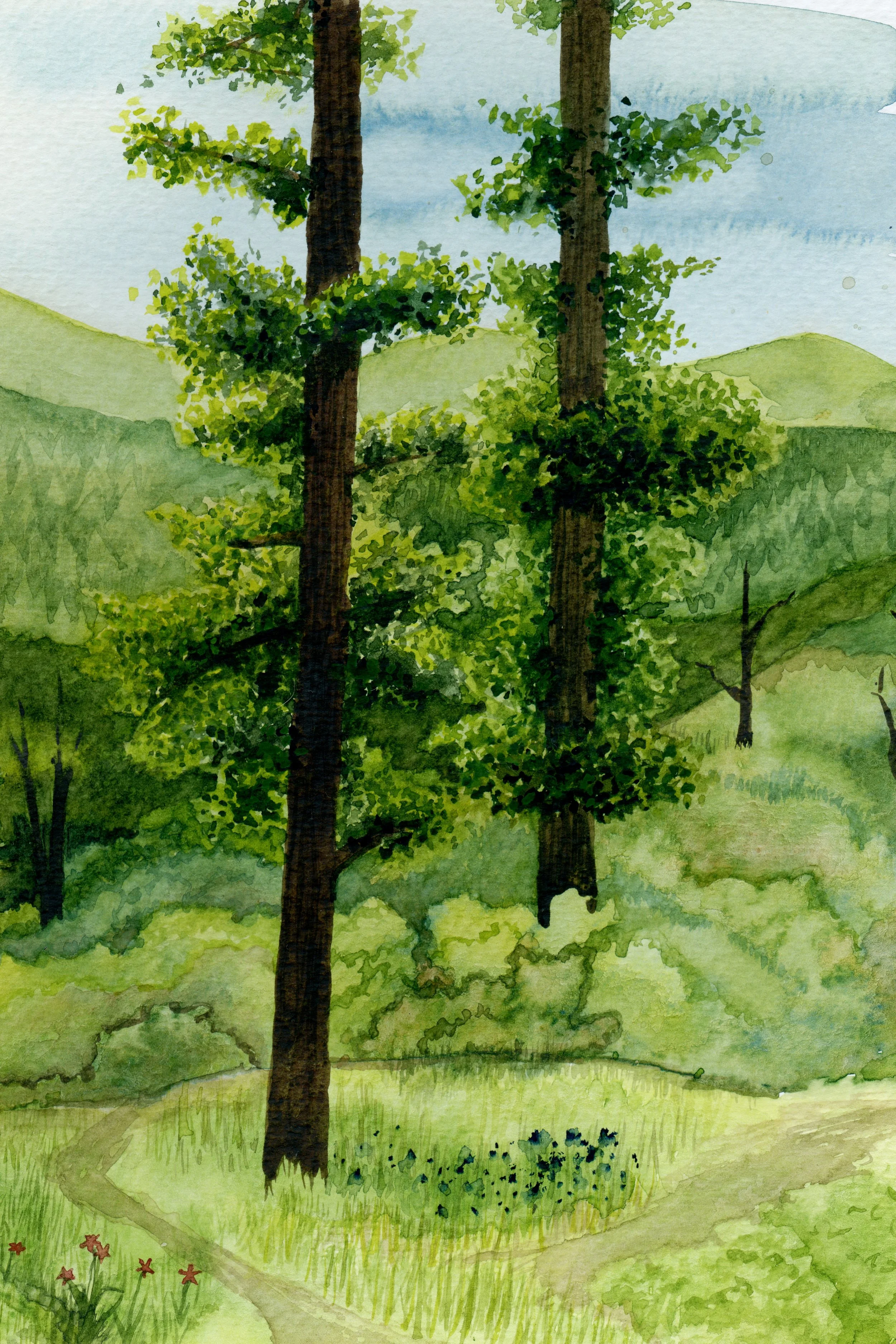two trees scan.jpg