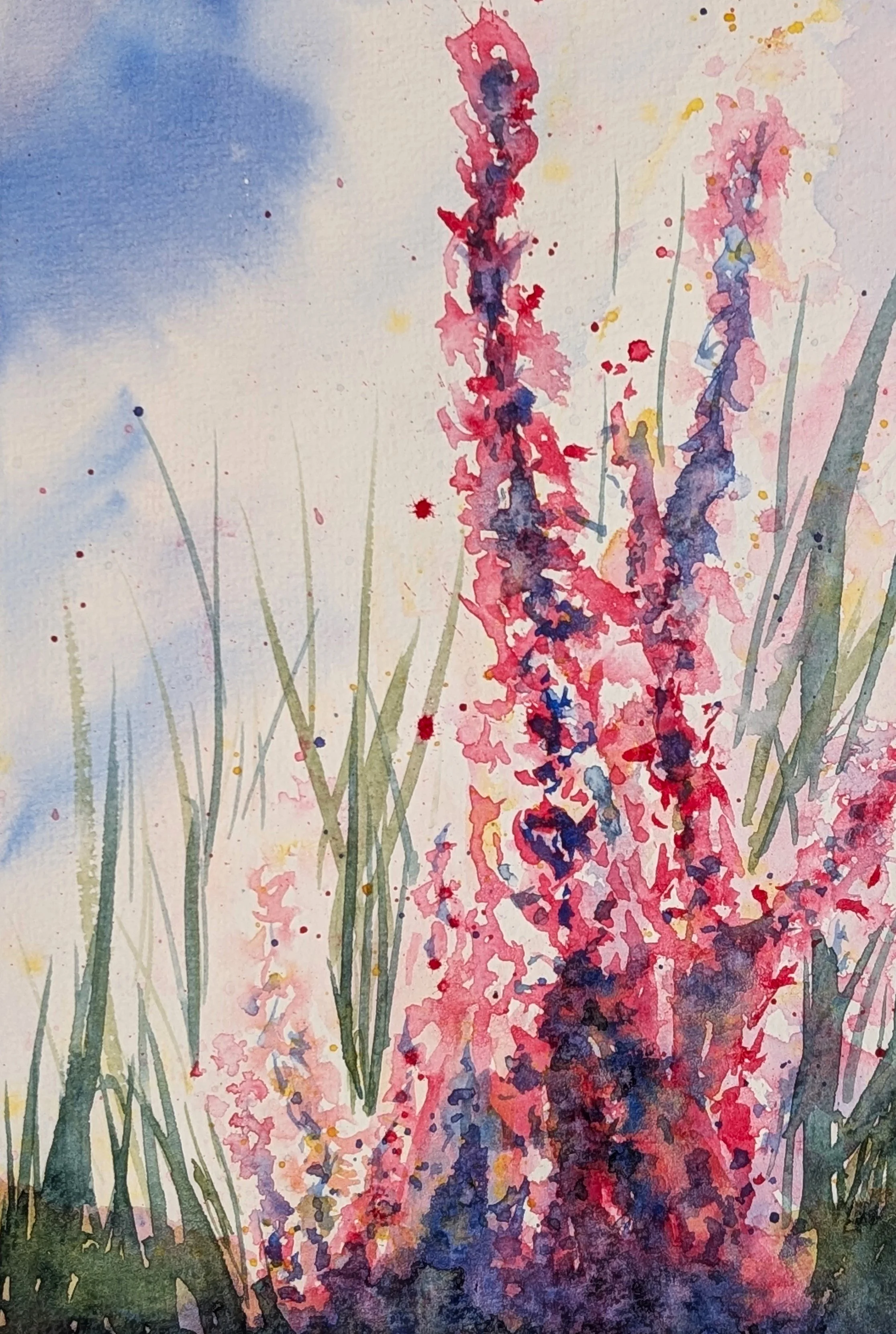 Flowers and Botanicals