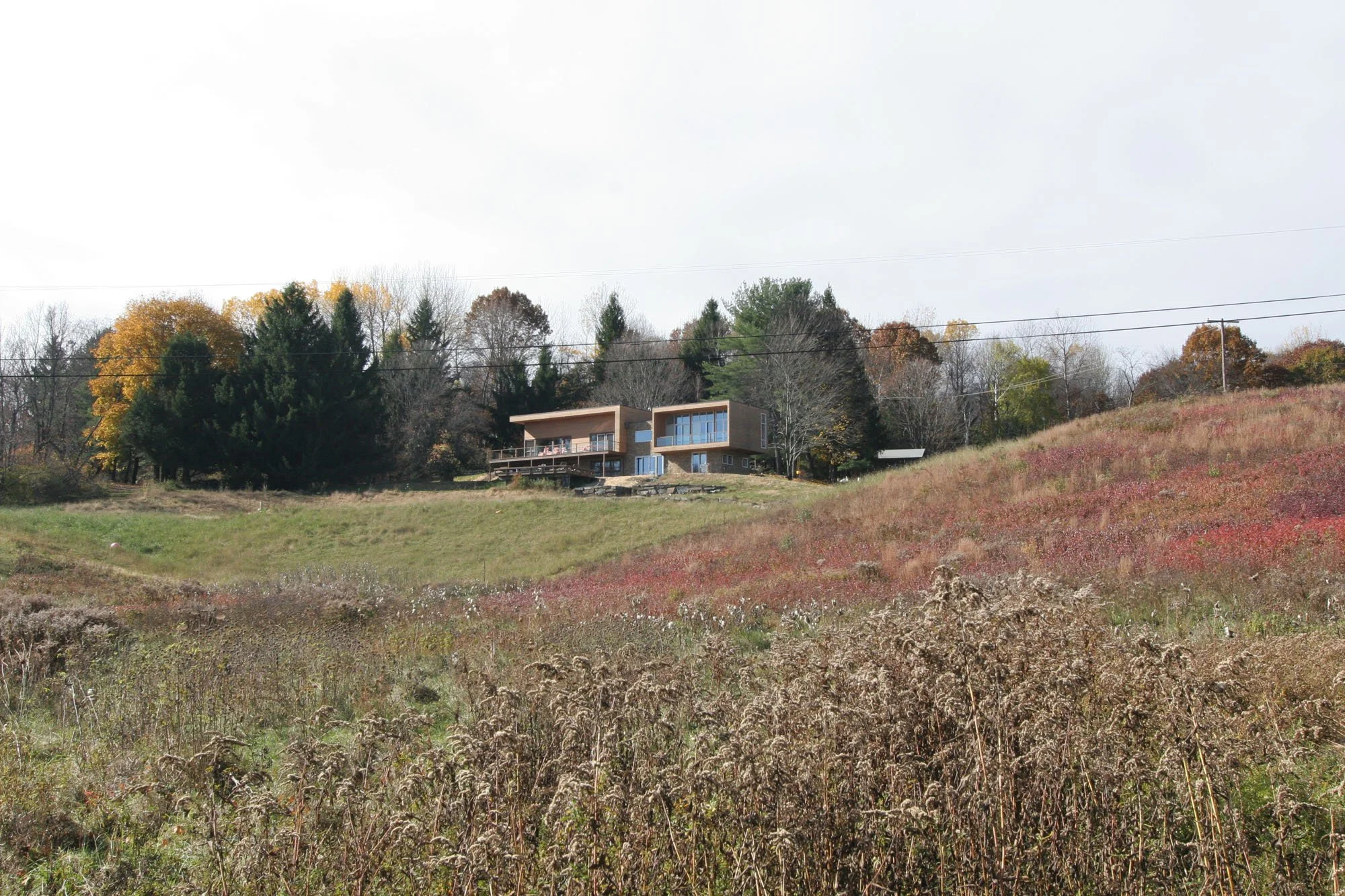 IMG_7451 copy.jpg