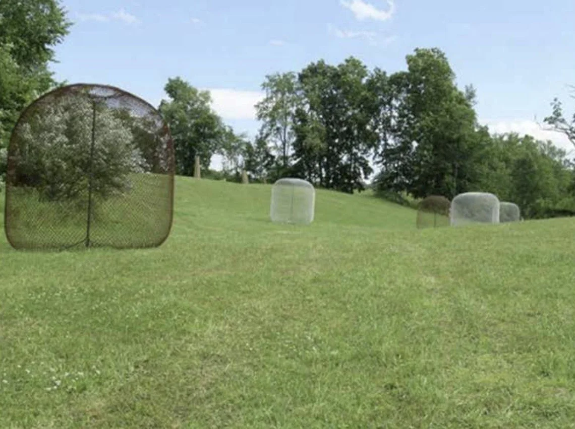 chain link bubbles.jpg