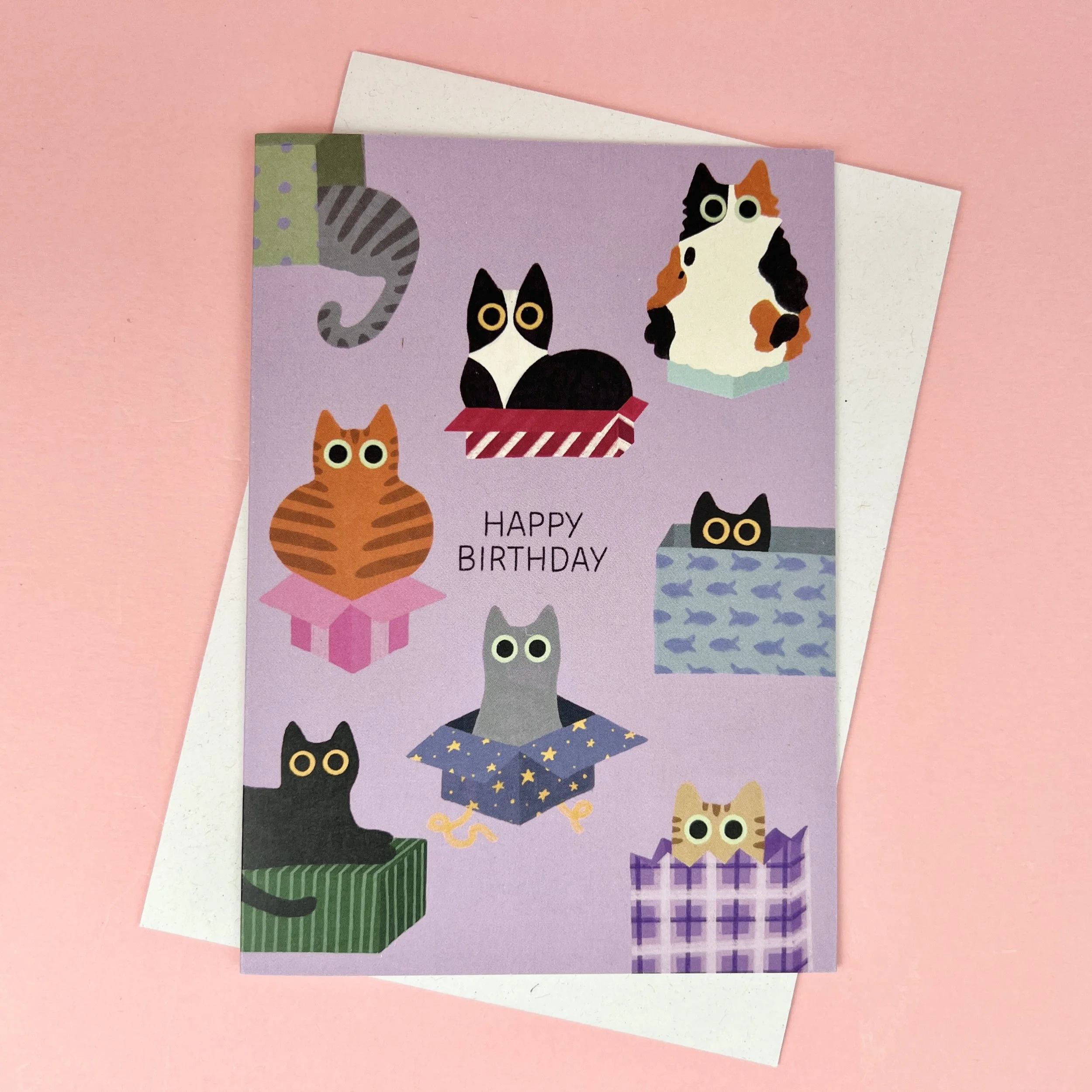 ‘I fits, I sits’ cats birthday card