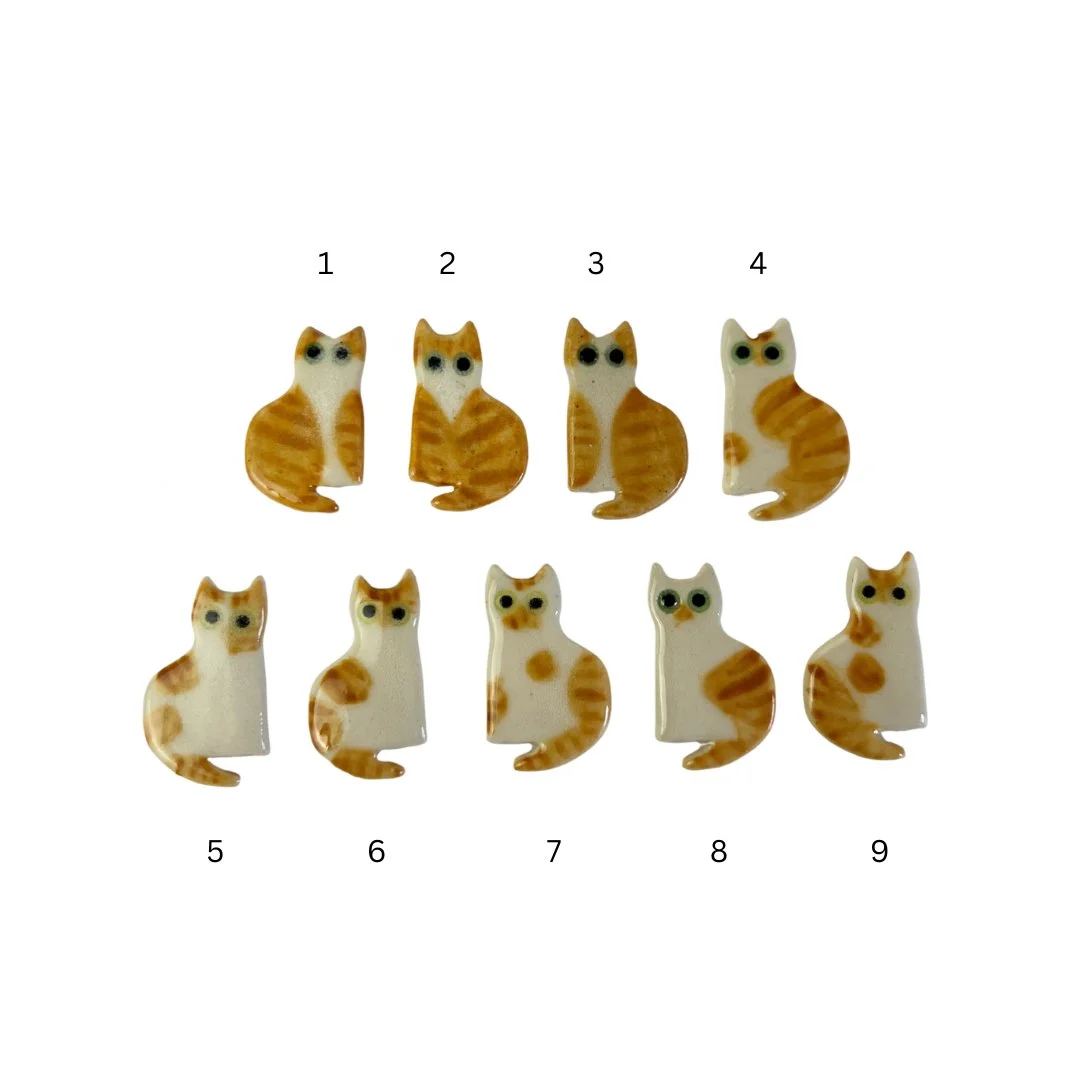 ginger cats.jpg