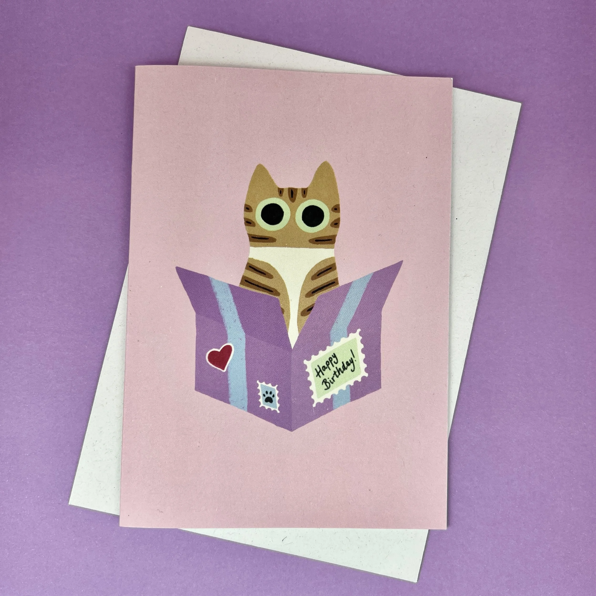 ‘I fits, I sits’ tabby cat birthday card