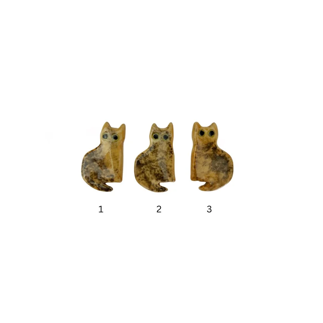 tortie cats.jpg