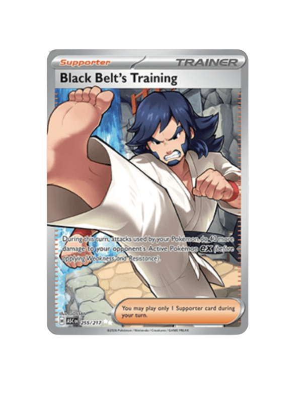 Black Belt's Training (EN) - 255/217