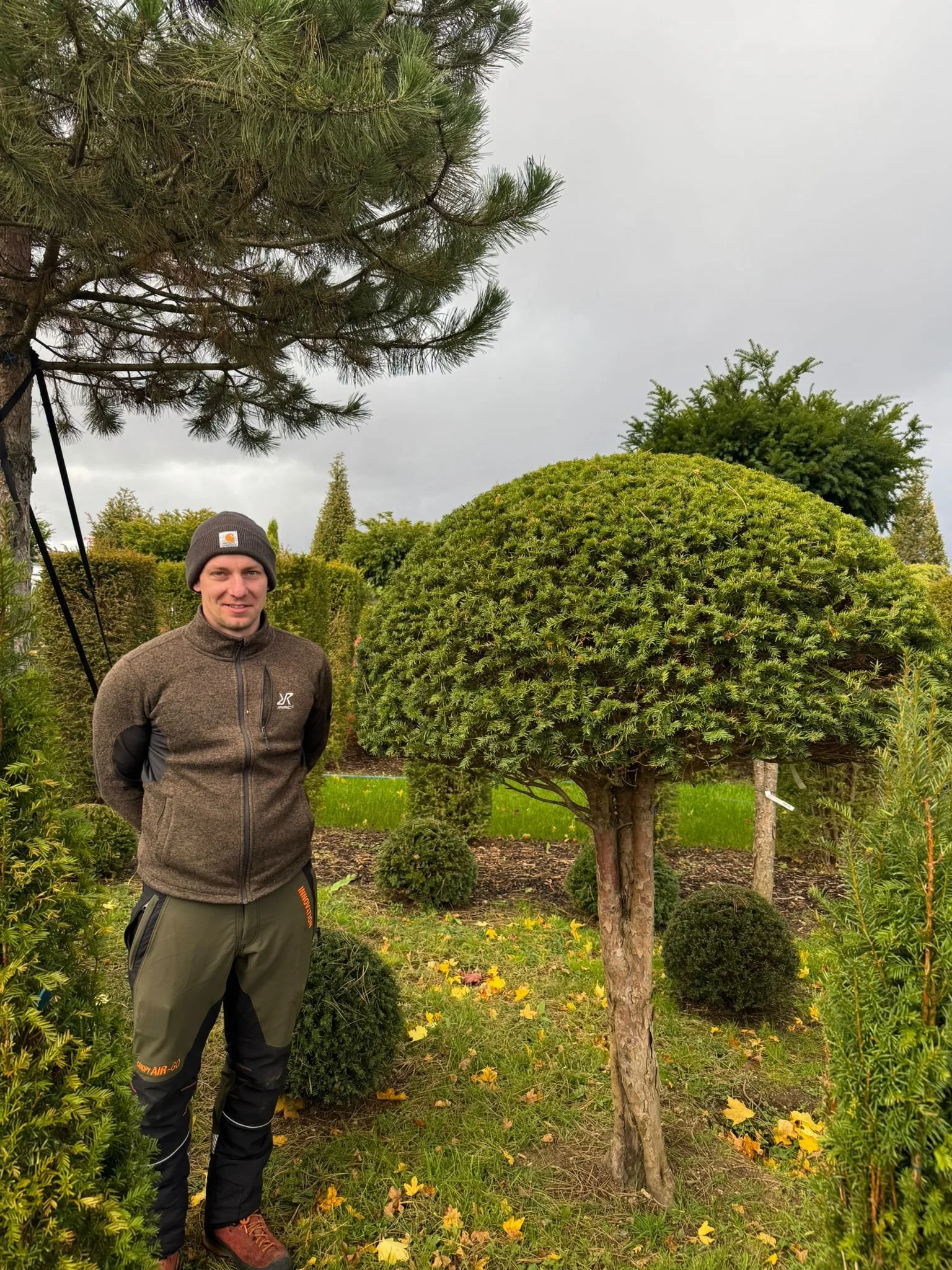 Ein Mann steht neben einem kunstvoll gestalteten kleinen Baum in einem Garten, umgeben von weiteren Pflanzen und Bäumen bei bewölktem Himmel.