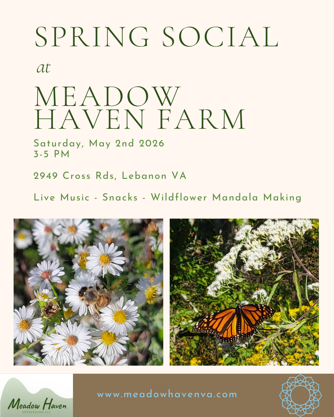 Spring Social