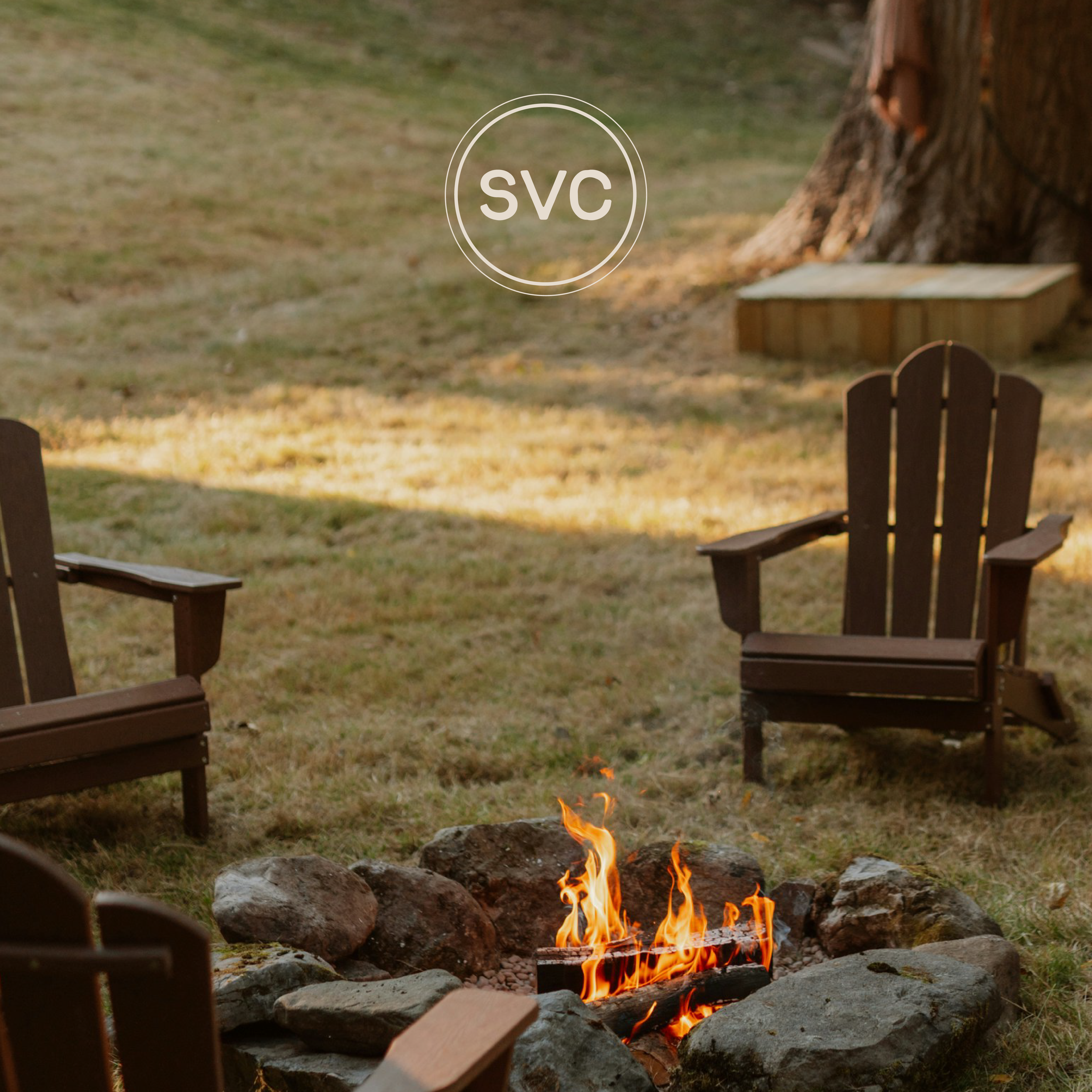 SVC_brandreveal-04.png