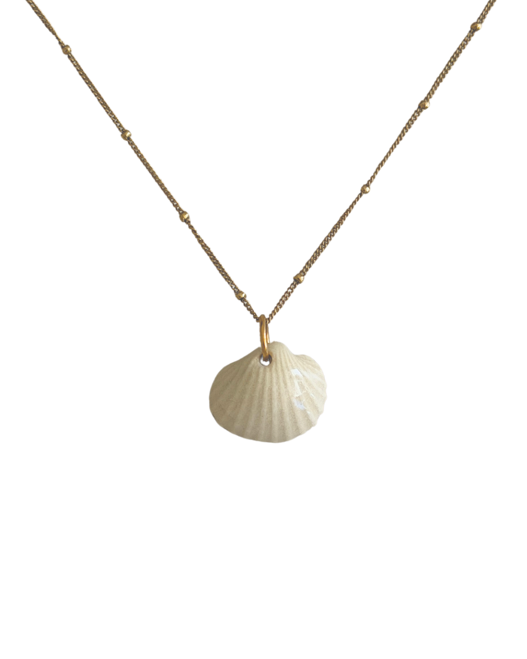 Scallop Ceramic Shell Necklace