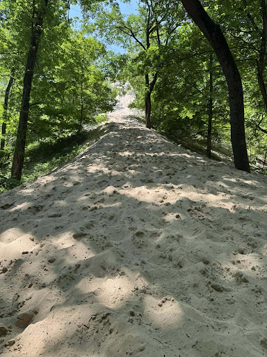 Warren Dunes- lake.png