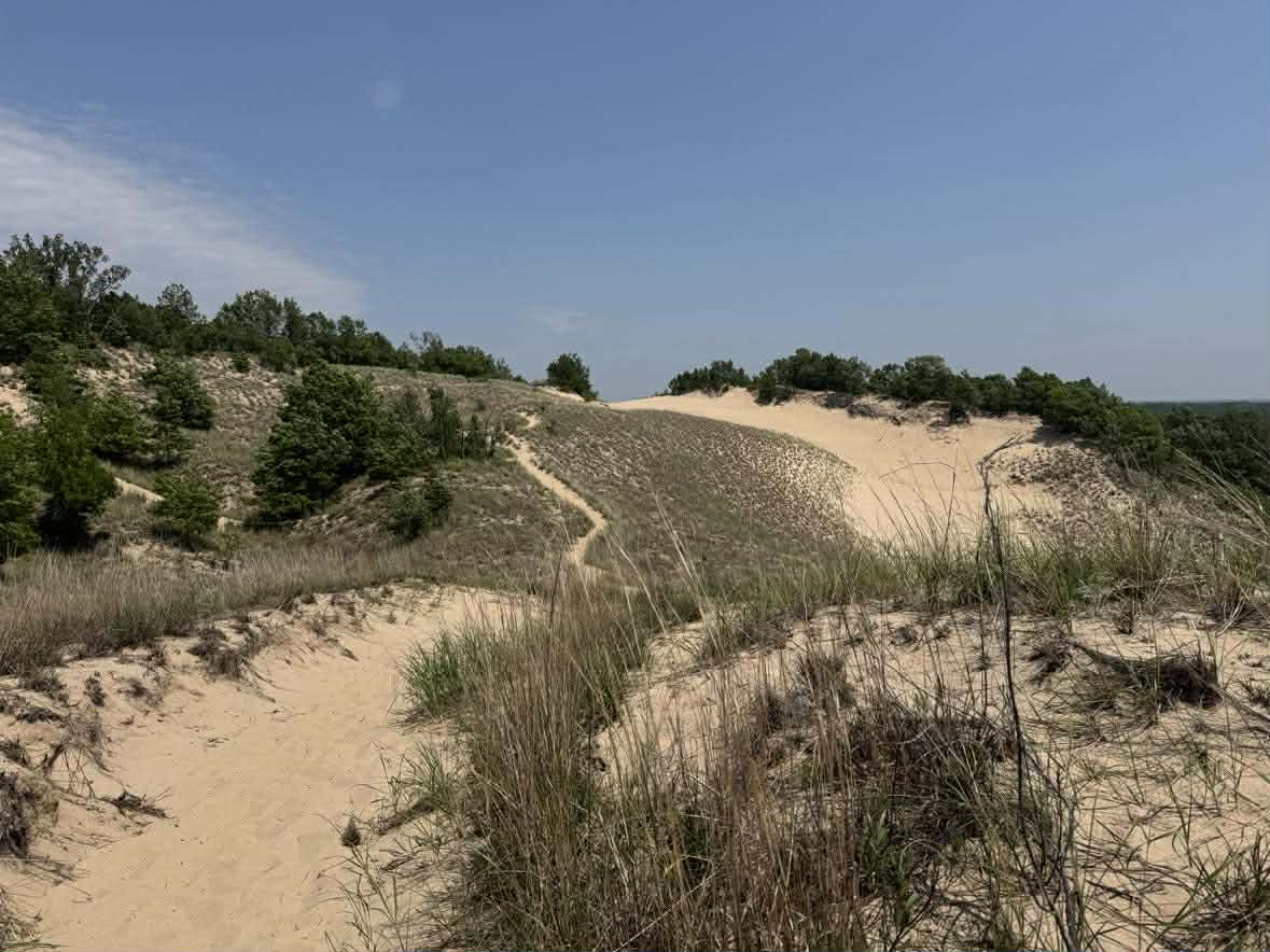 Warren Dunes wide sand trail.png