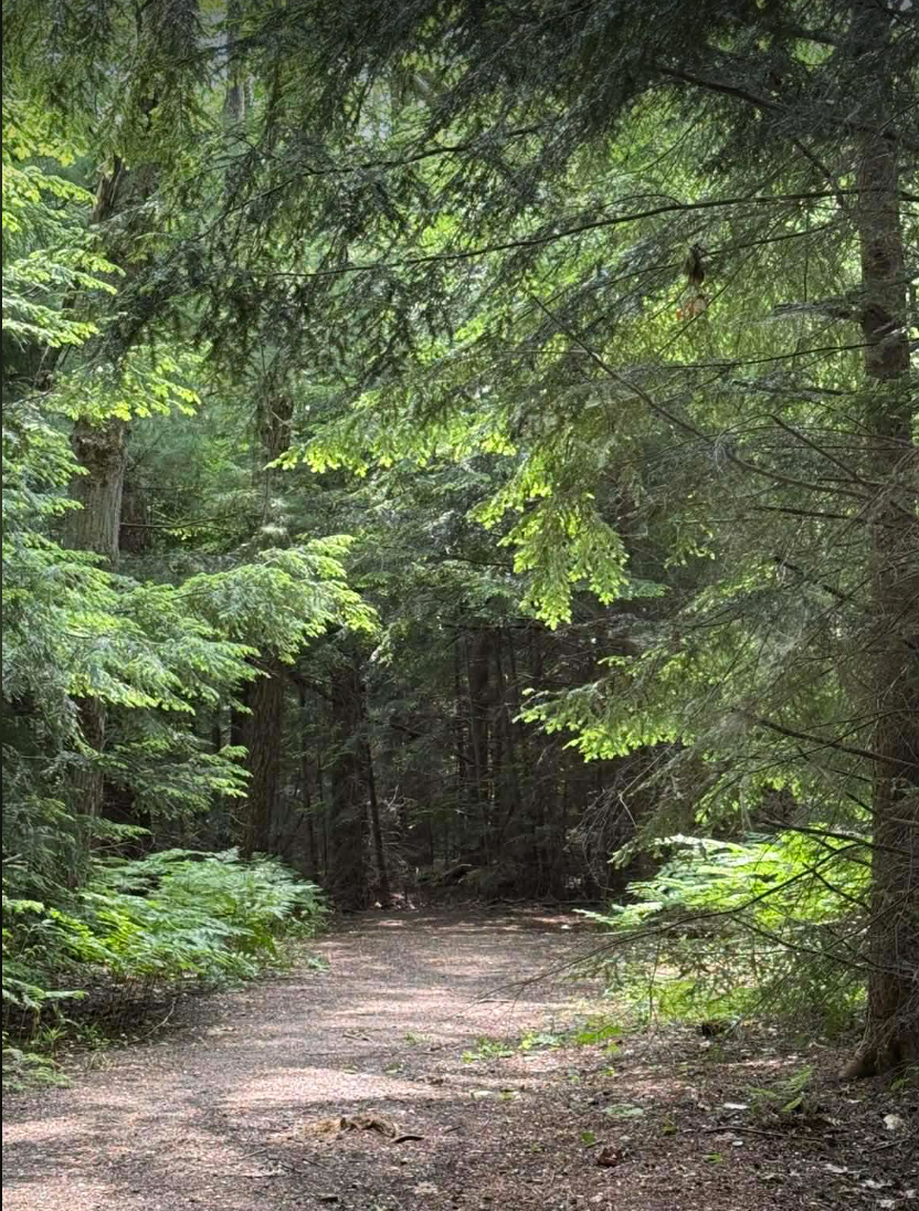 Mitchell green trail.png