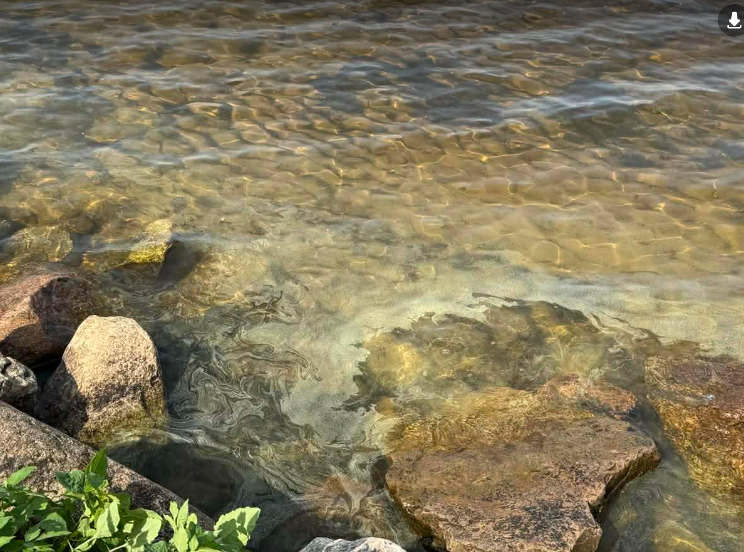 Mitchell rocks 2.png