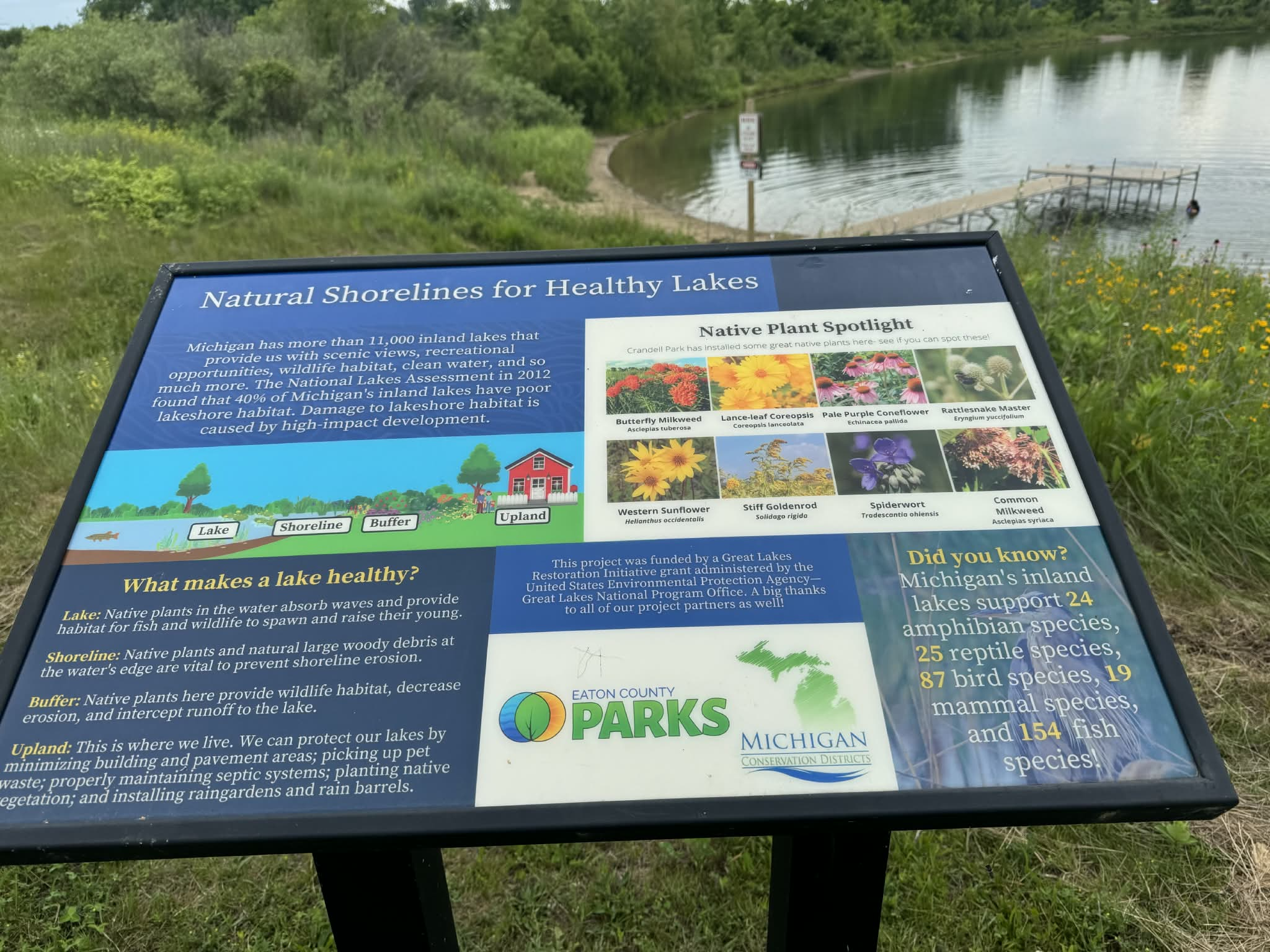 Shoreline sign Crandell.png