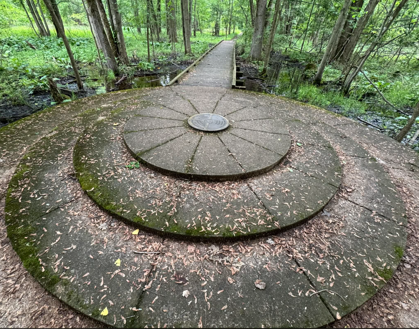 MB State park circles.png