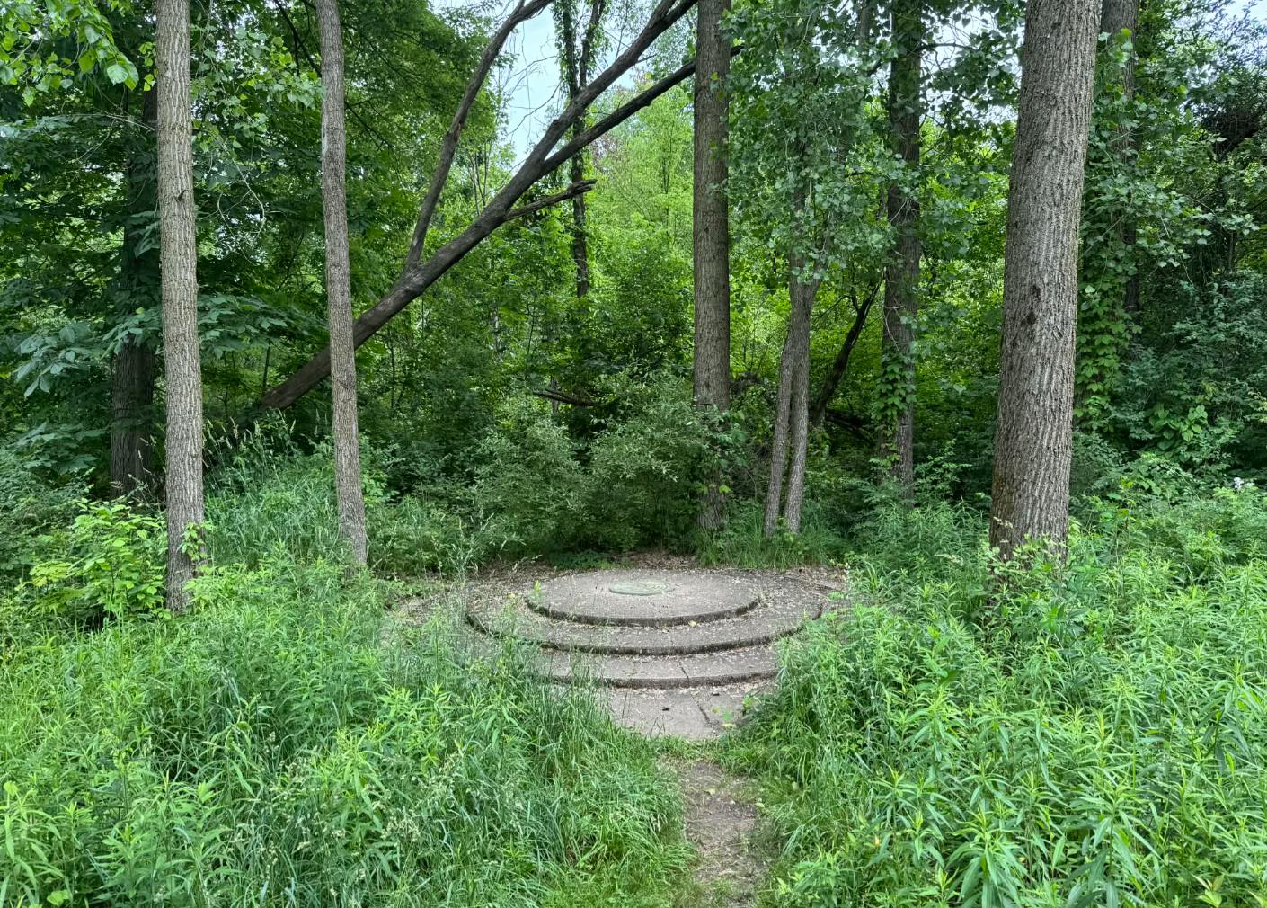 MB circles w bushes.png