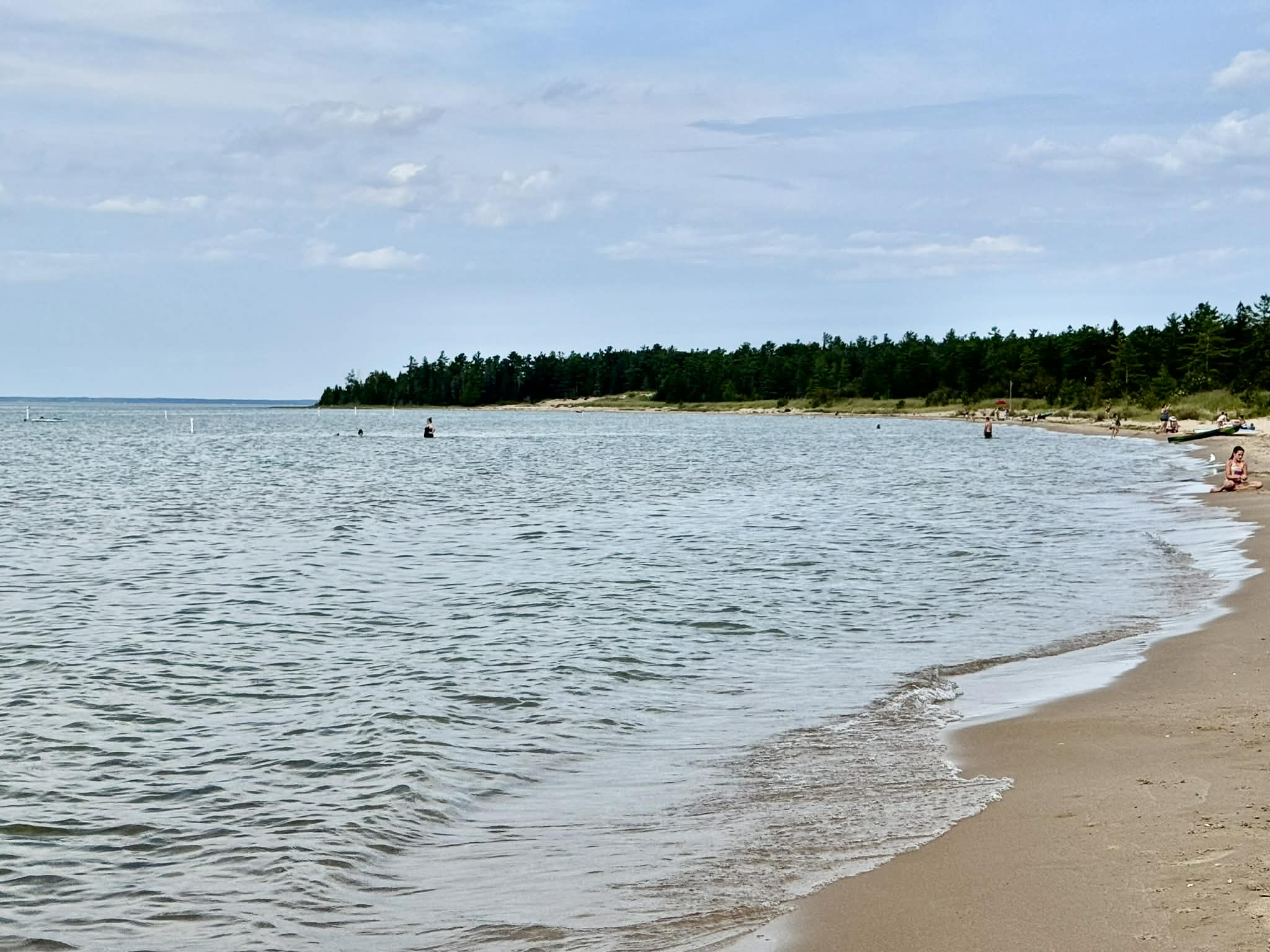 Wilderness shore.png