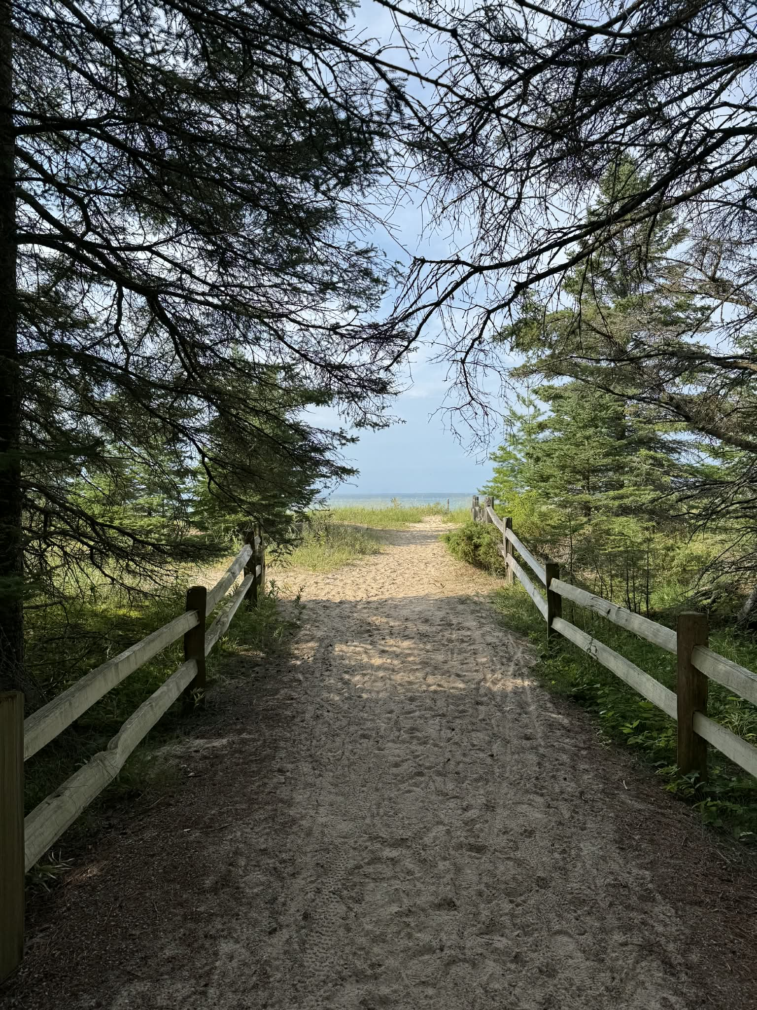 Wilderness trail.png