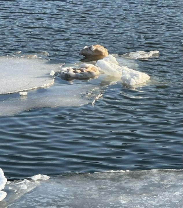 Holland Ice chunks.jpg