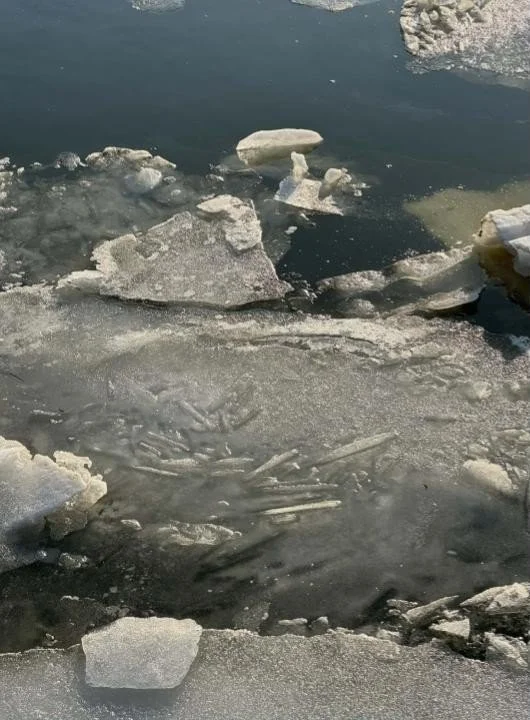 Holland ice from top.jpg