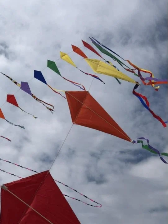 Charles Mears State Park