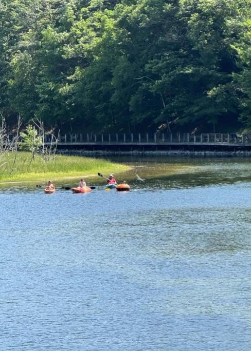 Ludington bridge.jpg