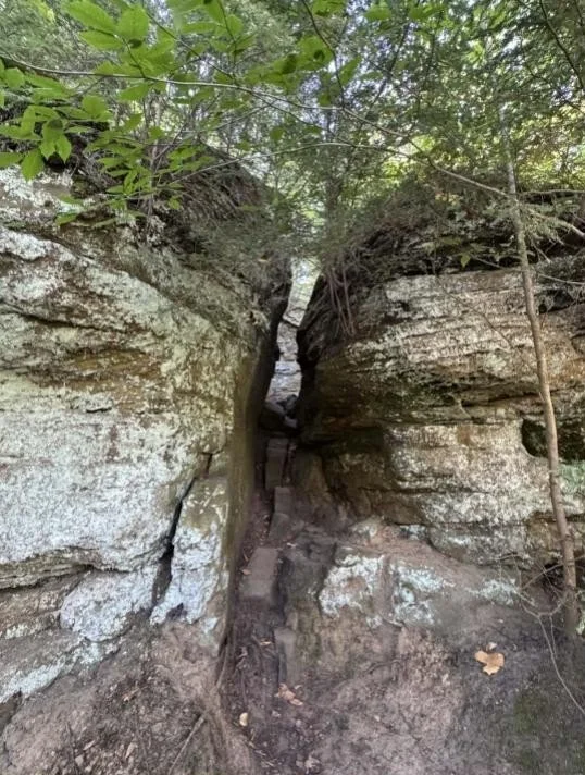 Fitzgerald stacks (1).jpg