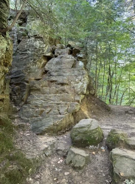 Fitzgerald stairs.jpg