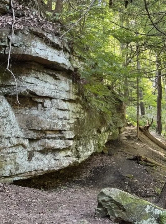 Fitzgerald block.jpg