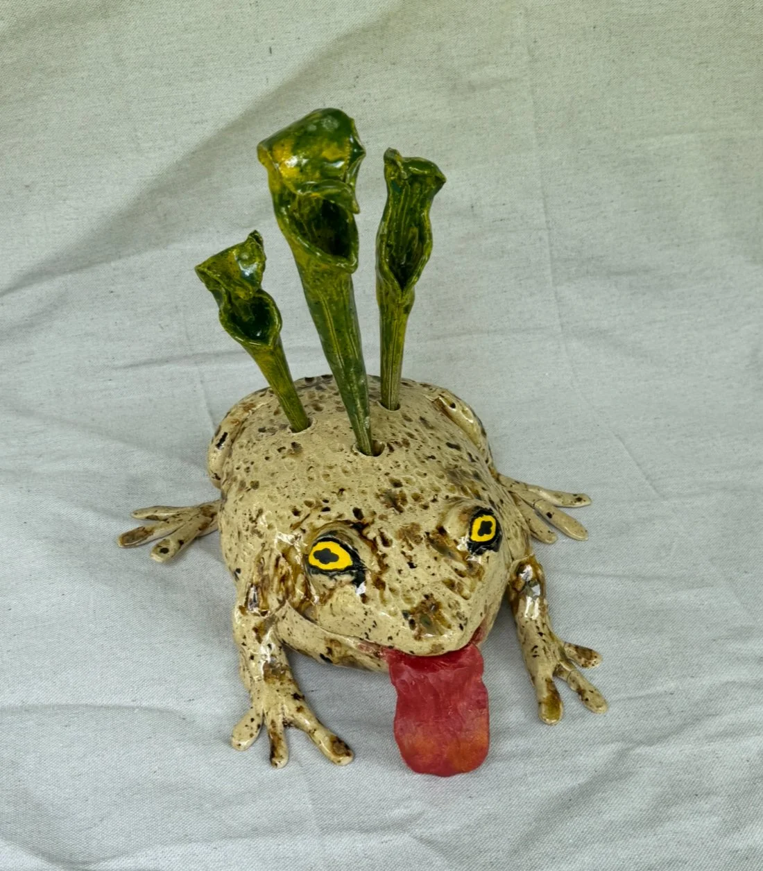 Bog frog frog.jpg