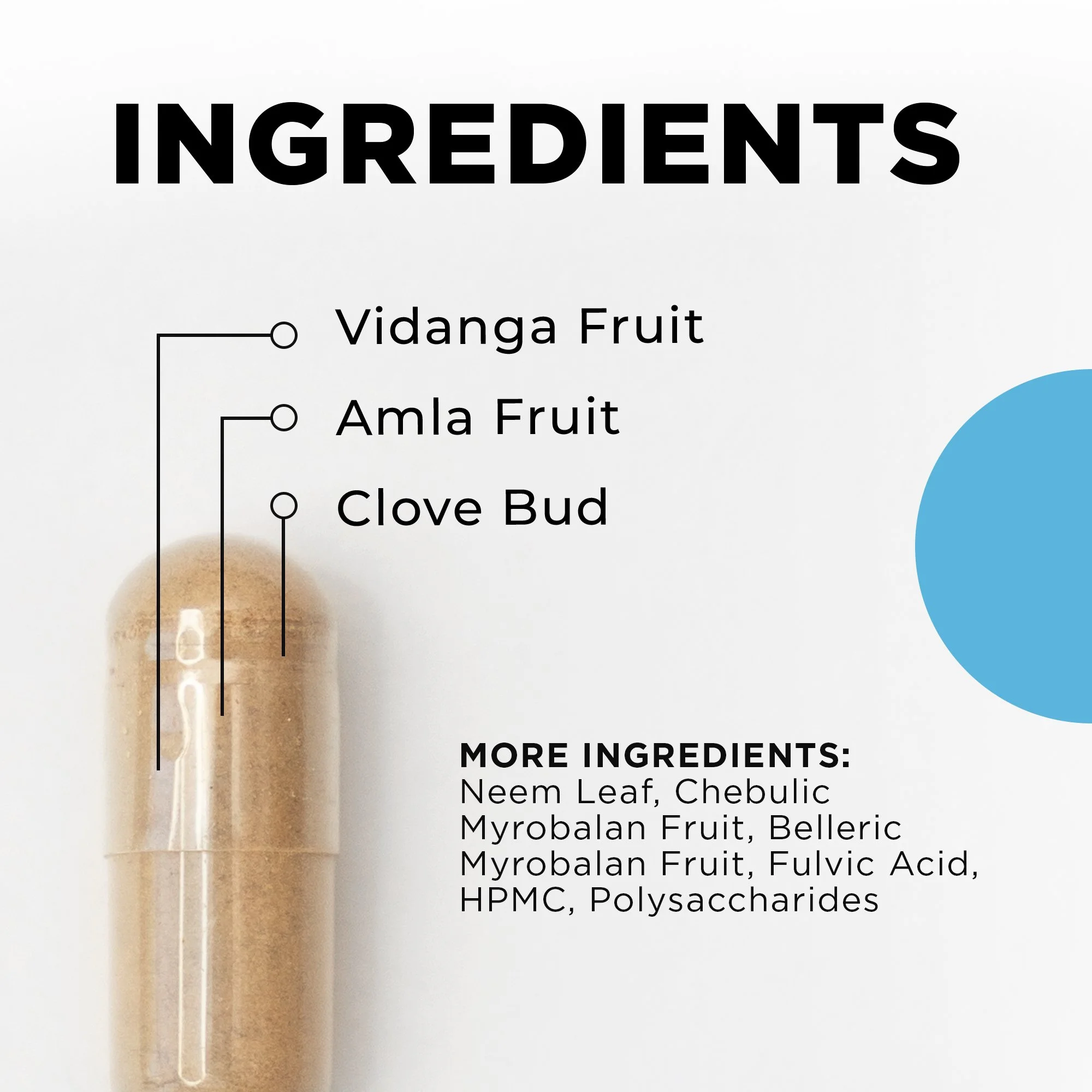 CC Para 2 - Final 1.jpg