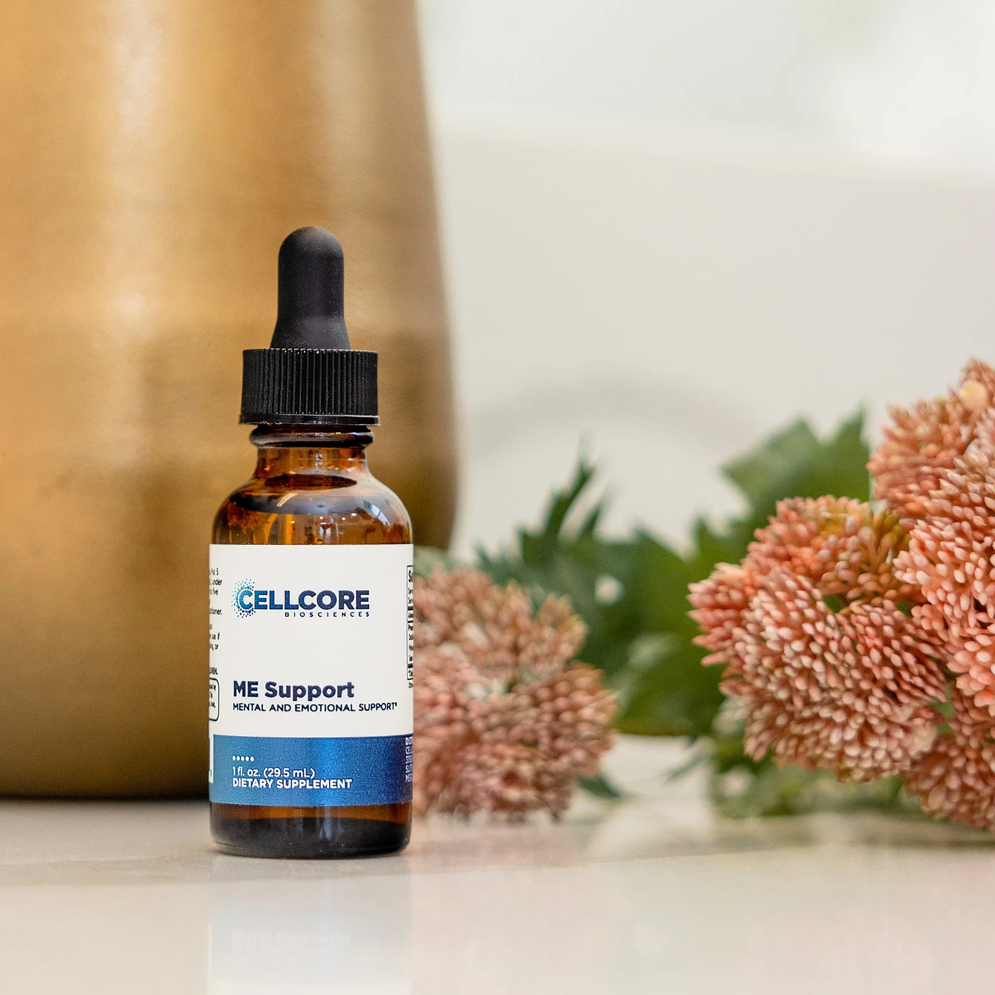 CC ME Support - Final 5.jpg