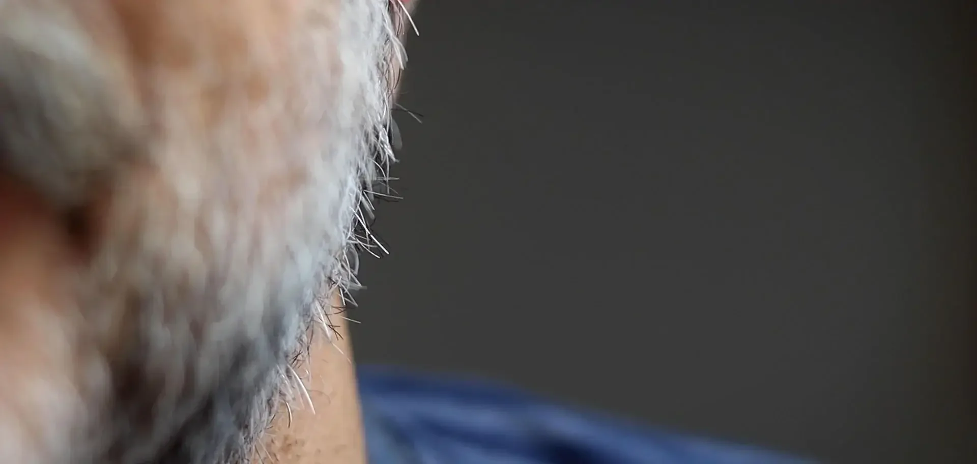 Barba Crescendo do Zero | Episódio 2: A Fase Espetada