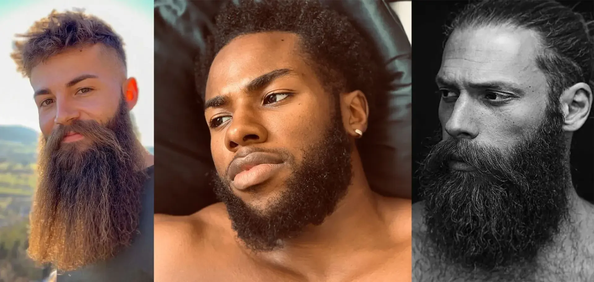 A Grande Diferença entre as Barbas Banholz e Old Duch