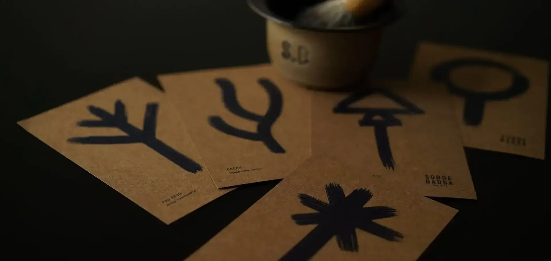 E Foi Assim Que Começamos a Plantar Árvores na Amazônia