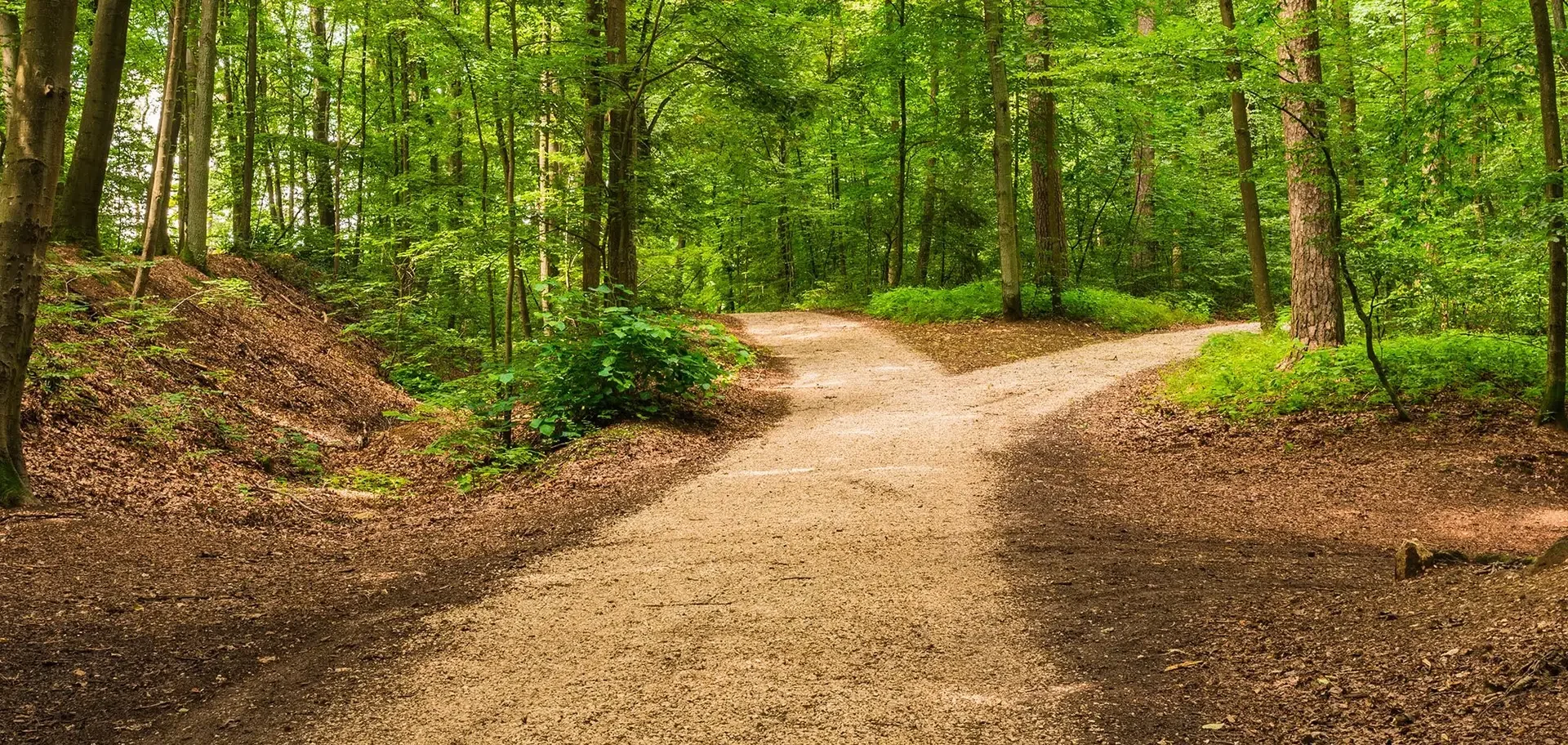Pontas Duplas na Barba | 6 Maneiras de Resolver