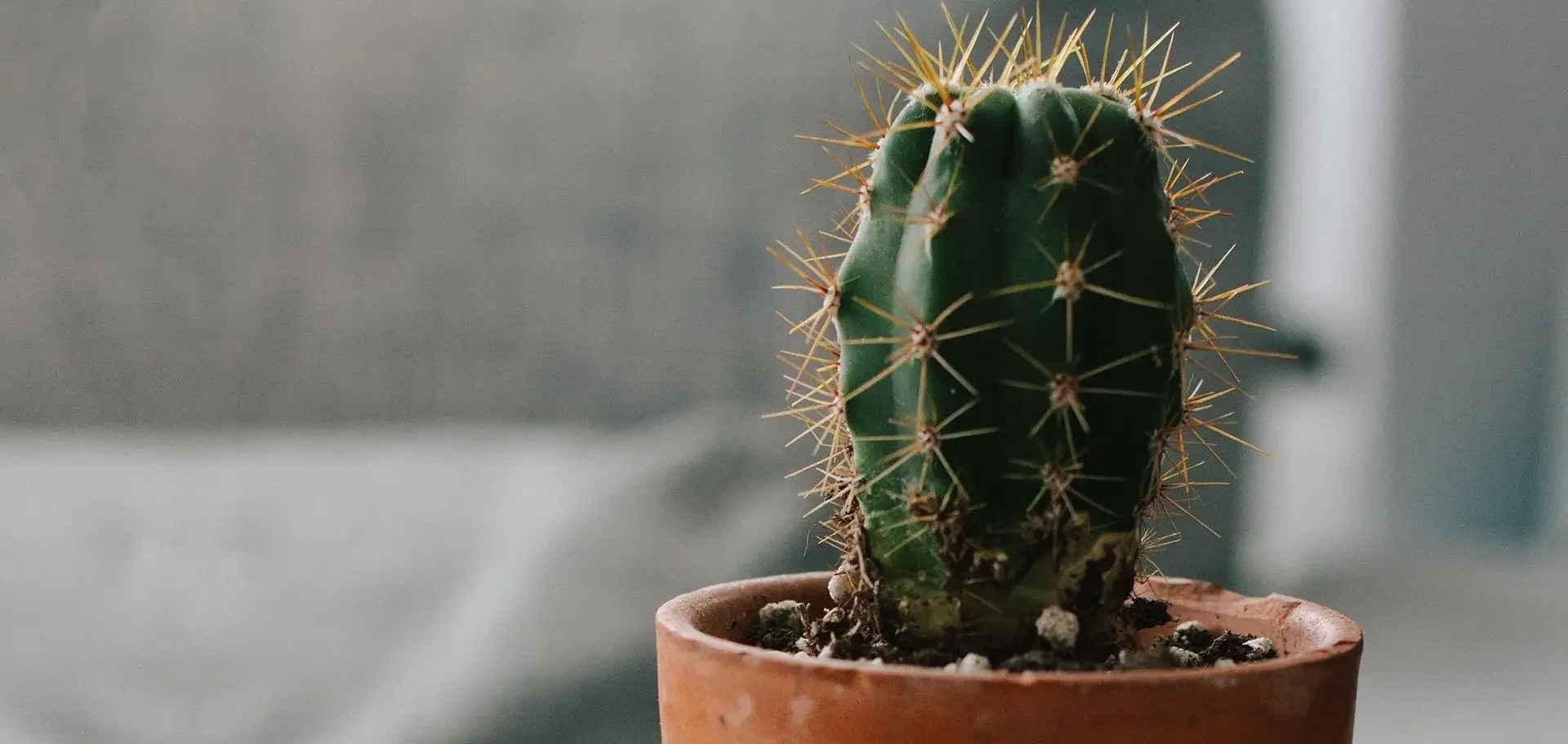 O melhor jeito de acabar com a barba espetada